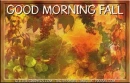 GOOD MORNING FALL, LEAVES, NATURE, TEXT