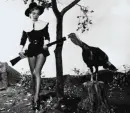 thanksgiving