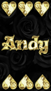 Andy