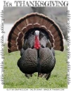 It's Thanksgiving, HOLIDAYS, TURKEY, COMMENTS, TEXT