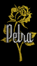 Petra