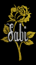 Sabi