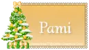 PAMI
