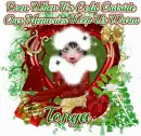 Tonya ~ fg