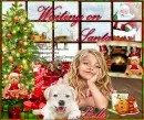 Bella -Waiting on Santa