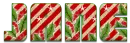 HOLLY N BERRIES - JANE