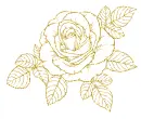rose