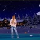 snowy evening