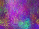 PURPLE ABSTRACT BACKGROUND