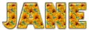 Yellow Flowers - Jane