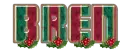FESTIVE CHRISTMAS - BREN