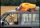 Man Kill