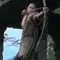 bloom as legolas
