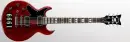 Zacky Vengeance's Guitar