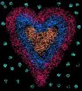 Hearts