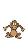 jumping monkey
