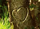 almanheart