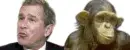 bush vs.a monkey