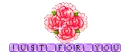 bunch of roses