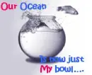 Our Ocean