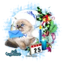 LETTER TO SANTA - SHIAN