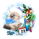 LETTER TO SANTA - JAYA
