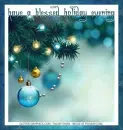 have a blessed holiday evening, CHRISTMAS, ORNAMENTS, TEXT