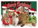 Cat Lover Christmas