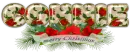 POINSETTIAS - CONNIE