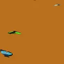 animated Butterflies