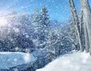 Winter Snowflakes ~ Background