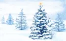 Winter Snowflakes ~ Background