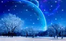 Winter Snowflakes ~ Background