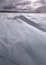 Winter wind ~ Background