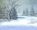 Winter Snowflakes ~ Background