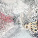 Winter Snowflakes ~ Background