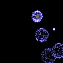 fireworks animated