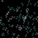 bubbles animated