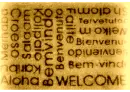ThreePlusWorldWelcomesIceBlue