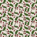 Christmas ~ Background ~ fg