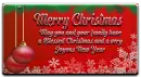 Merry Christmas/New Year