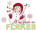 Flakey Friends (Christmas Snowman)