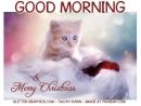 GOOD MORNING & MERRY CHRISTMAS