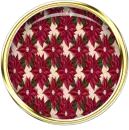 Poinsettias Brad