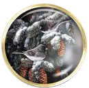 Winter Bird Brad