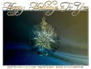 Happy Holidays To You, ORNAMENT, HOLIDAYS, TEXT