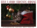 HAVE A MERRY CHRISTMAS MORNING, ORNAMENTS, HOLIDAYS, TEXT