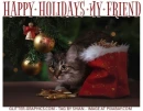 HAPPY HOLIDAYS MY FRIEND, CHRISTMAS, CAT, TEXT