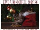 HAVE A WONDERFULL MORNING