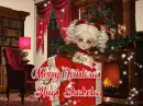 Merry Christmas Shakela